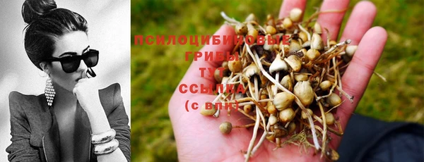 MDMA Premium VHQ Нефтегорск