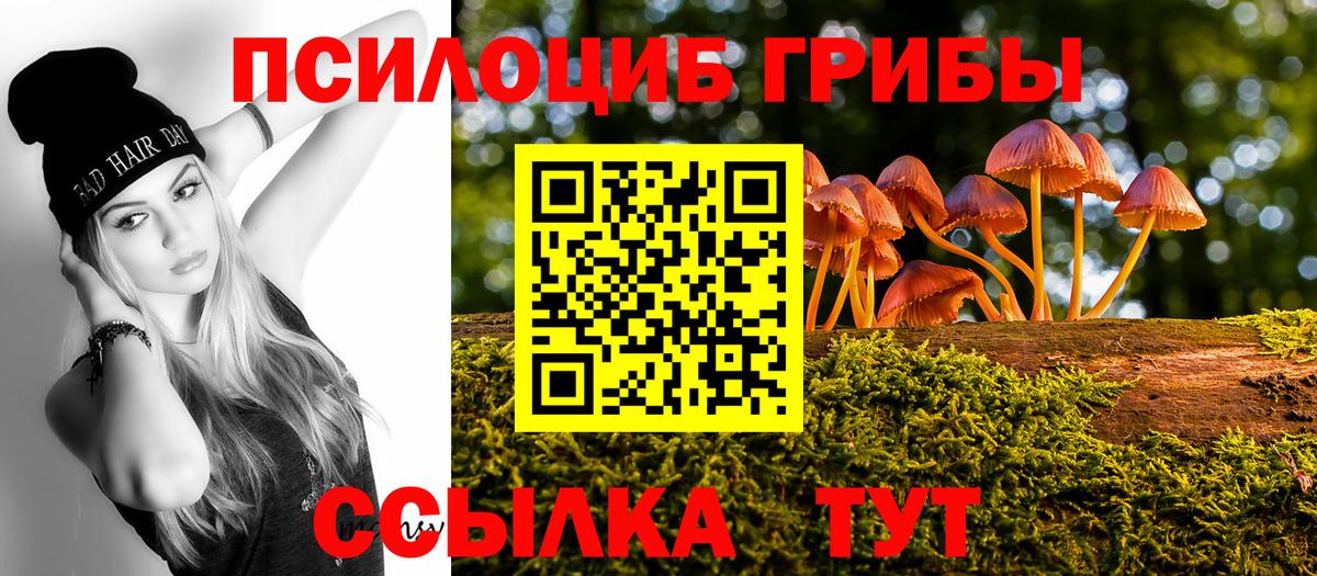 Галлюциногенные грибы MAGIC MUSHROOMS Красноперекопск