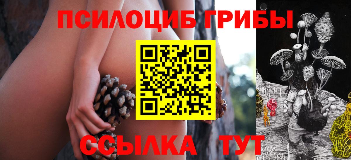 Галлюциногенные грибы Cubensis  Красноперекопск 