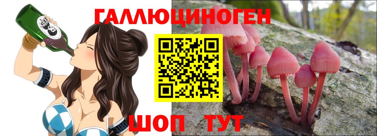 Псилоцибиновые грибы мицелий  Вход с VPN  Красноперекопск 
