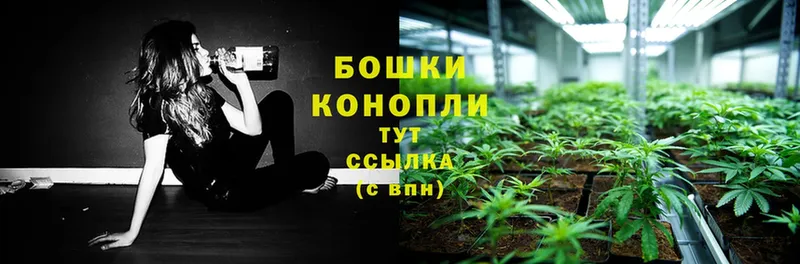 Бошки Шишки SATIVA & INDICA  купить   Красноперекопск 